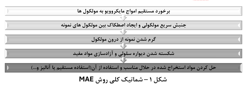 تصویر گرافیکی از روند استخراج به کمک مایکروویو (MAE) شامل آماده‌سازی، تابش مایکروویو و جداسازی ترکیبات